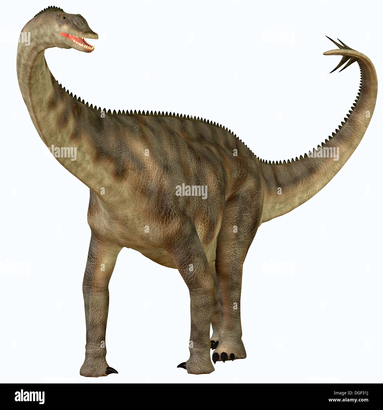 Spinophorosaurus is a sauropod dinosaur from Niger that lived in the Jurassic Period. Stock Photo