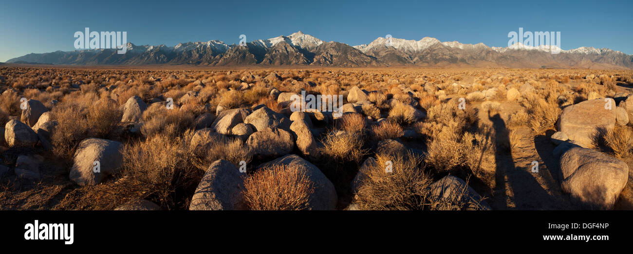 Rock field below the mountains of the Eastern Sierra, near Manzanar, California Stock Photo