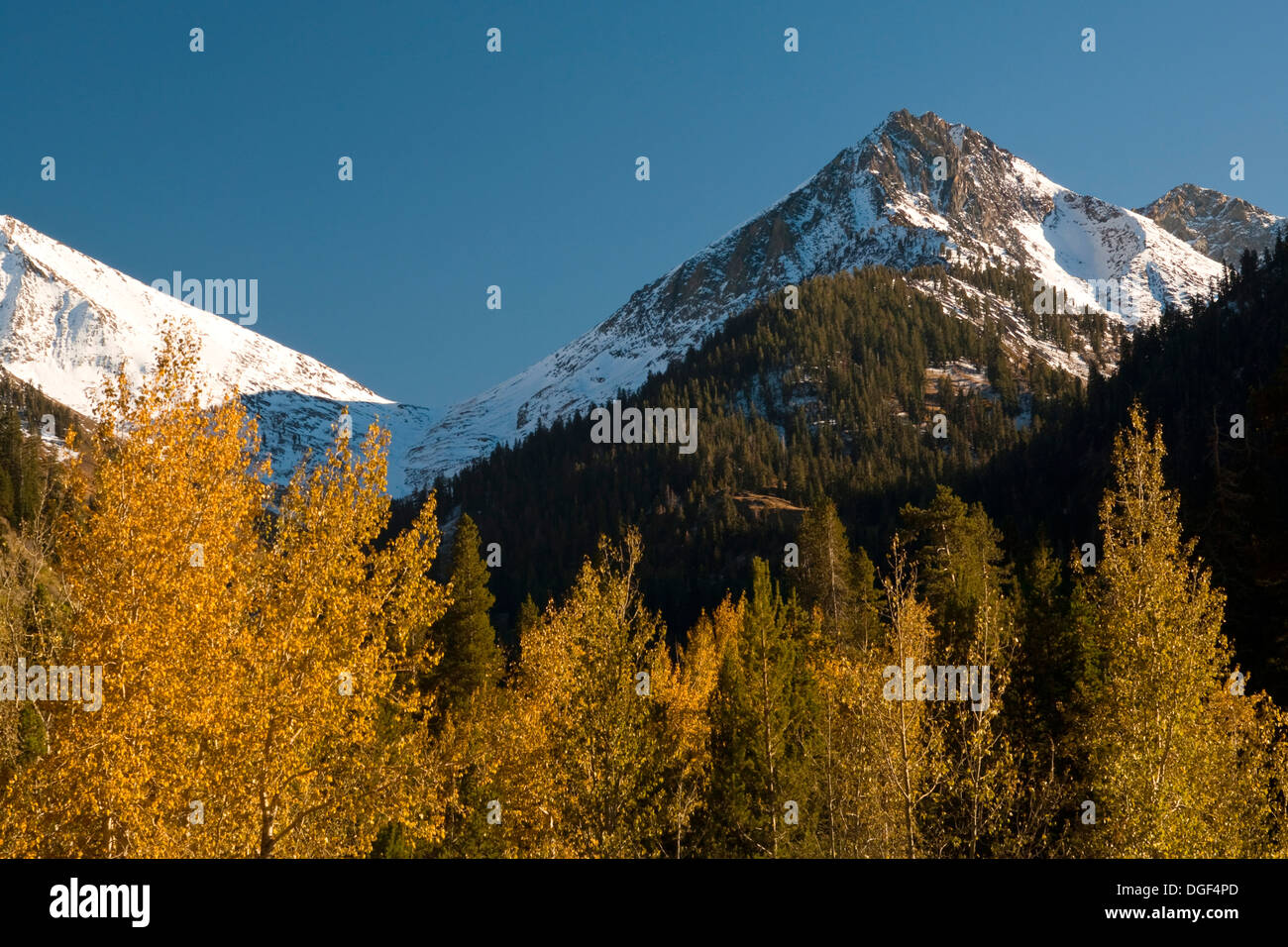 Mountain and trees in fall, Mineral King, Sequoia National Park, California Stock Photo