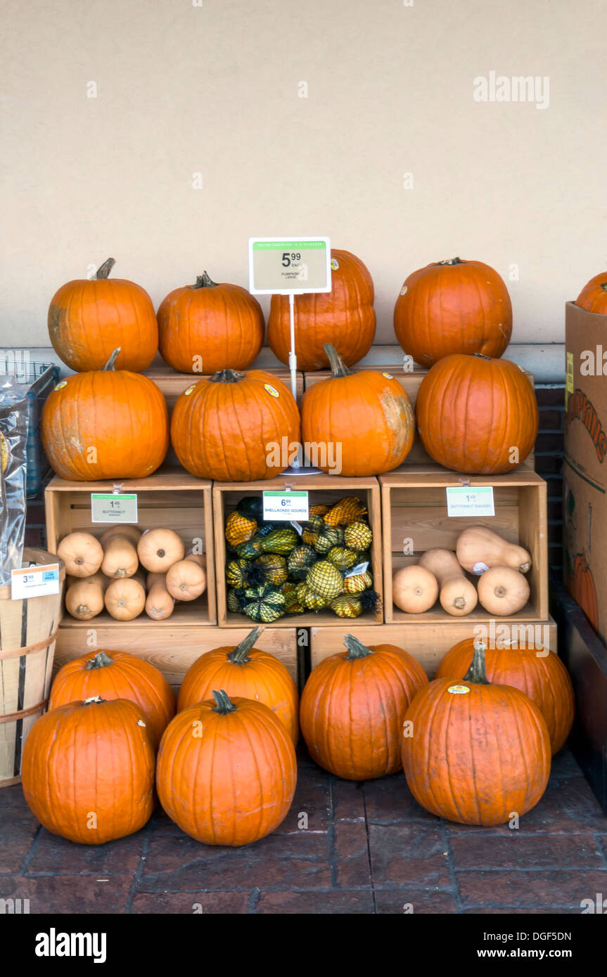 Pumpkin and winter squash outdoor display at a Publix grocery store