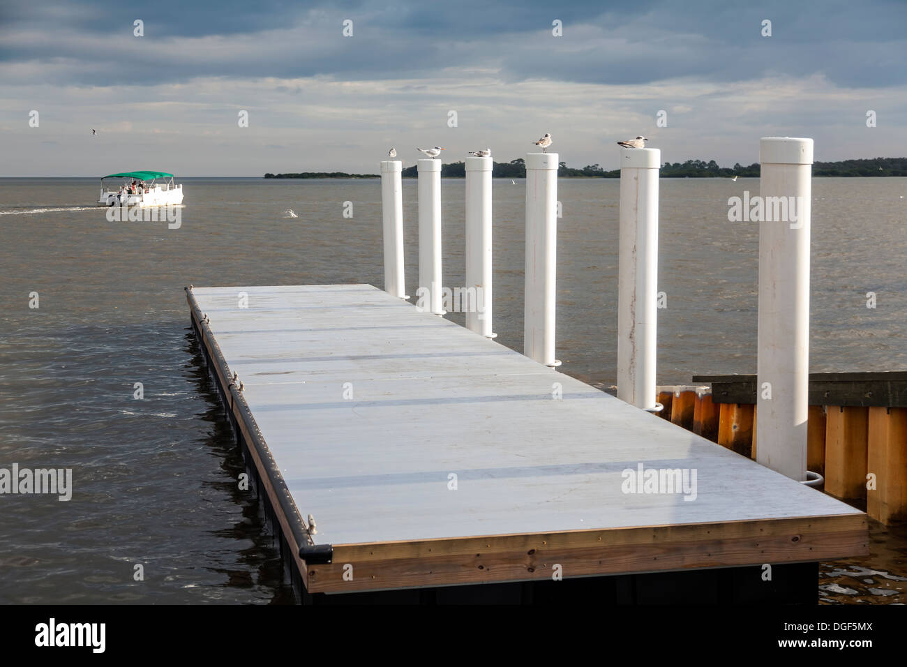 Floating dock with PVC wrapped pilings and tour boat with green canopy