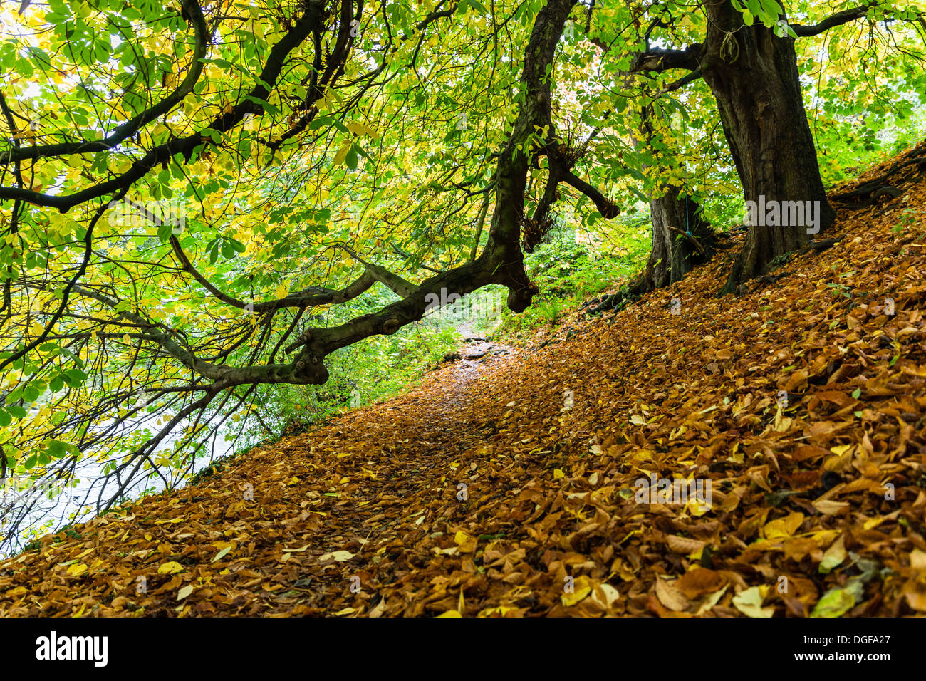 Autumn (the Fall) in Addingham, West Yorkshire (UK) Stock Photo