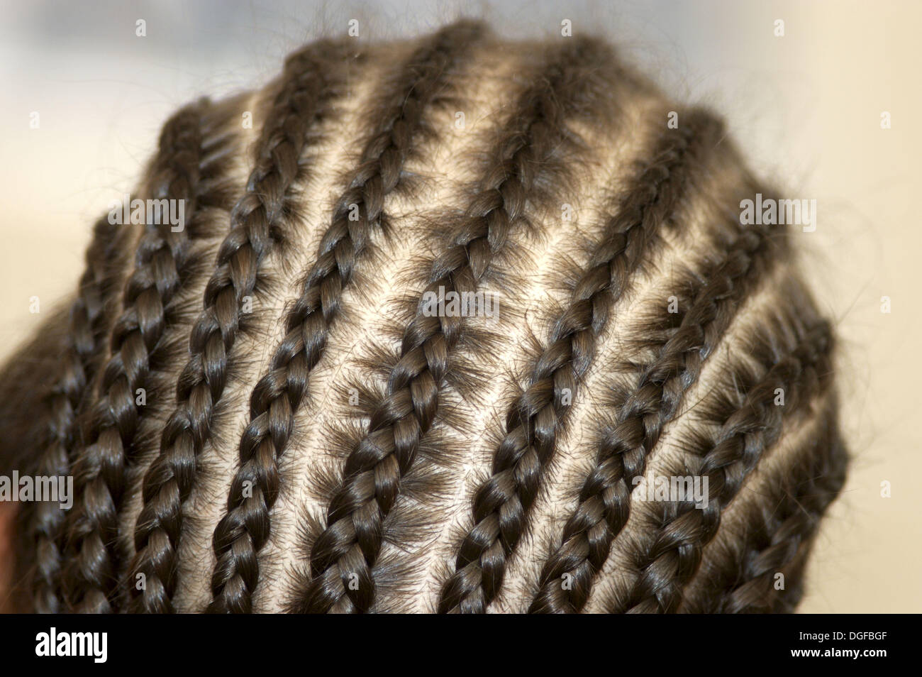 Plaits Tress Of Hair Braids Young Man Stock Photo 61803967