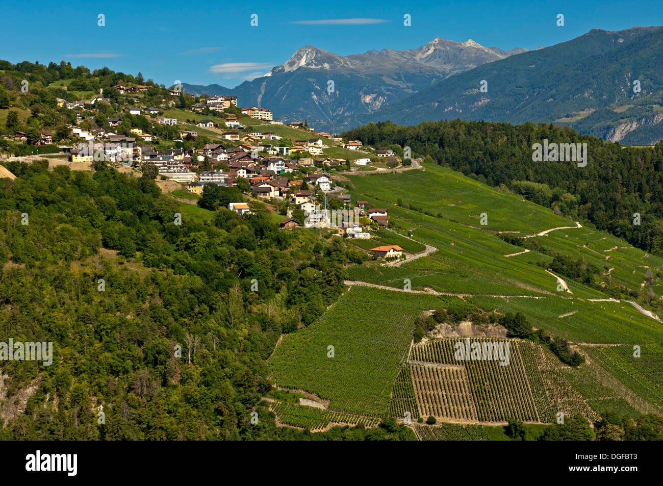 Cultivated landscape with vineyards, Savièse, Canton of Valais, Switzerland Stock Photo