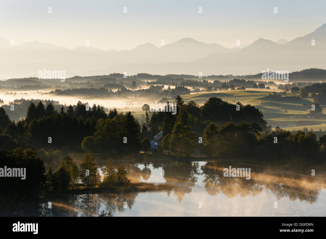 Early morning mood on Schwaigsee lake, Wildsteig, Pfaffenwinkel region, Upper Bavaria, Bavaria, Germany Stock Photo