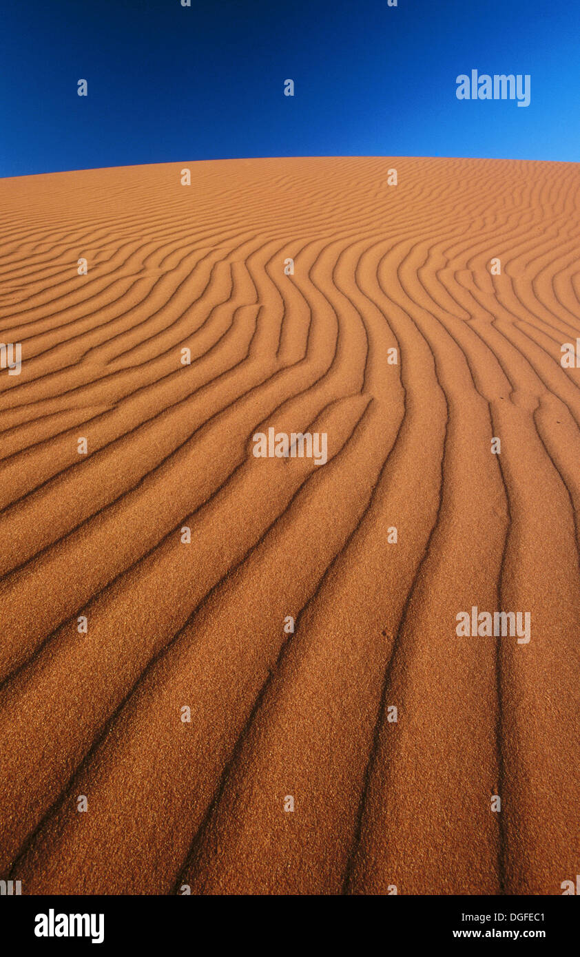 Strzelecki Desert. Australia Stock Photo Alamy