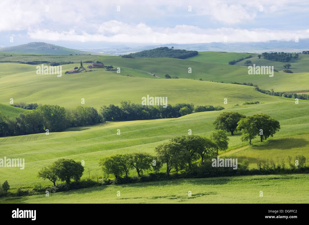 Typical tuscany farm hi-res stock photography and images - Alamy