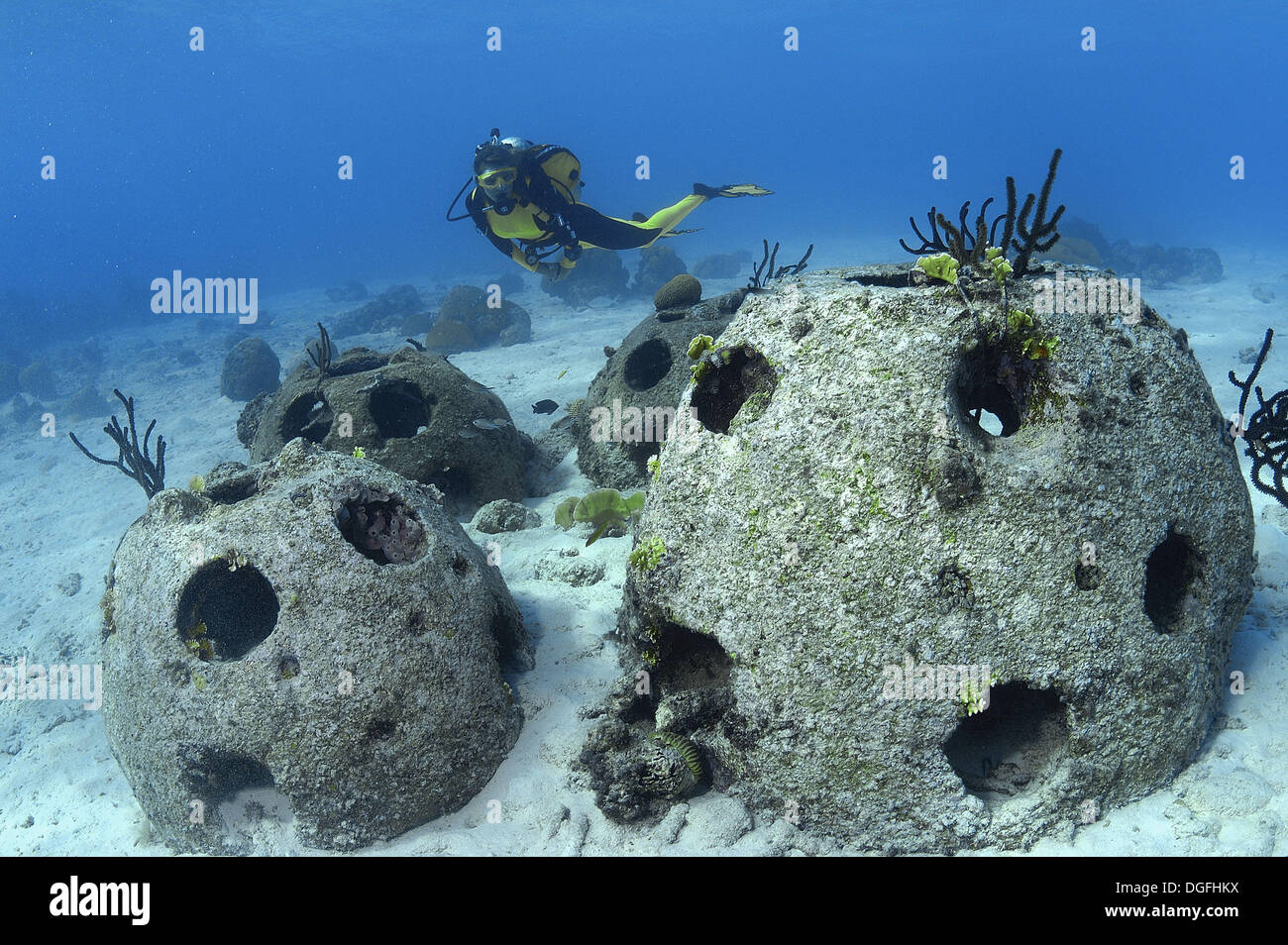 Resultado de imagem para artificial reef curaÃ§ao