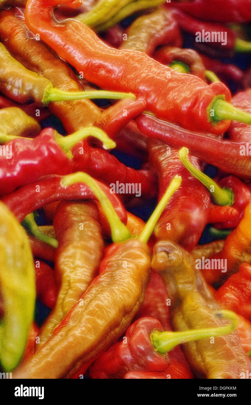 Various peppers on farmer´s market stand. Capsicum annuum, August 2006