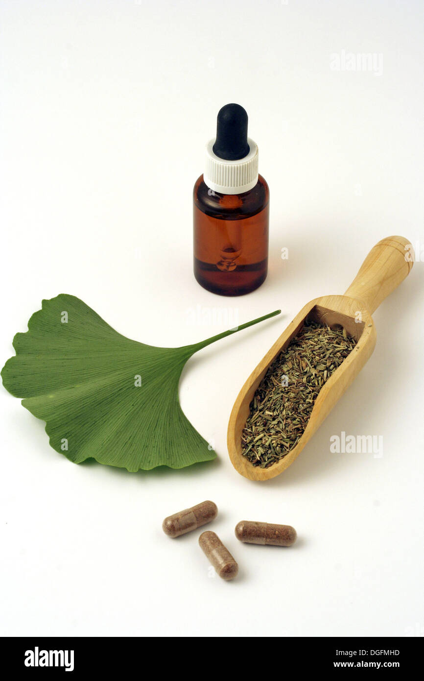 Ginkgo biloba extract and pills Stock Photo Alamy
