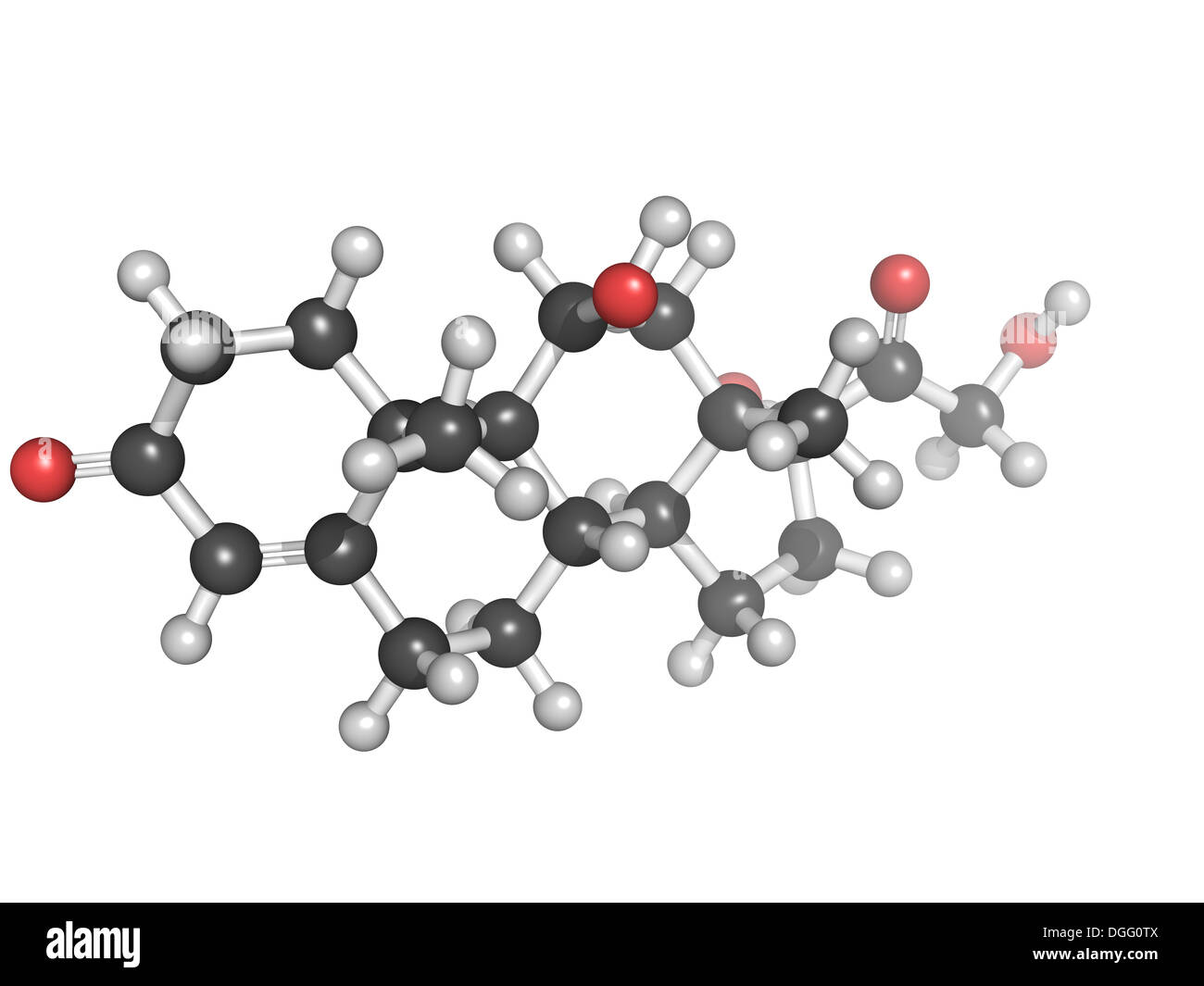 Model of cortisol, a stress hormone released by the adrenal gland. It