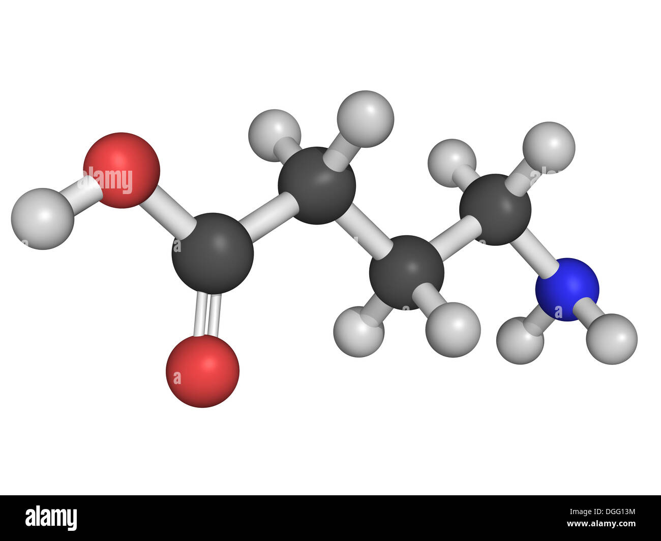 the study of the importance of gamma aminobutyric acid Gamma-aminobutyric acid (gaba) is important in plant responses to the funders had no role in study design, data collection and analysis,. the study of the importance of gamma aminobutyric acid Gamma-aminobutyric acid (gaba) is important in plant responses to the funders had no role in study design, data collection and analysis,.
