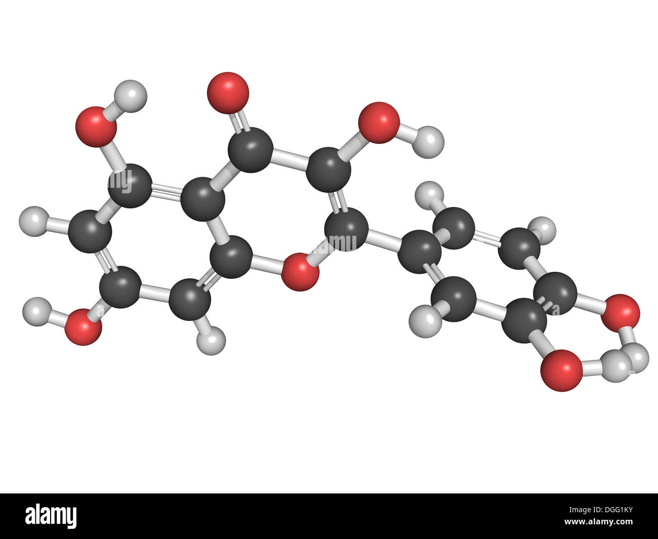 Chemical structure of a quercetin flavonoid molecule. Quercetin is a