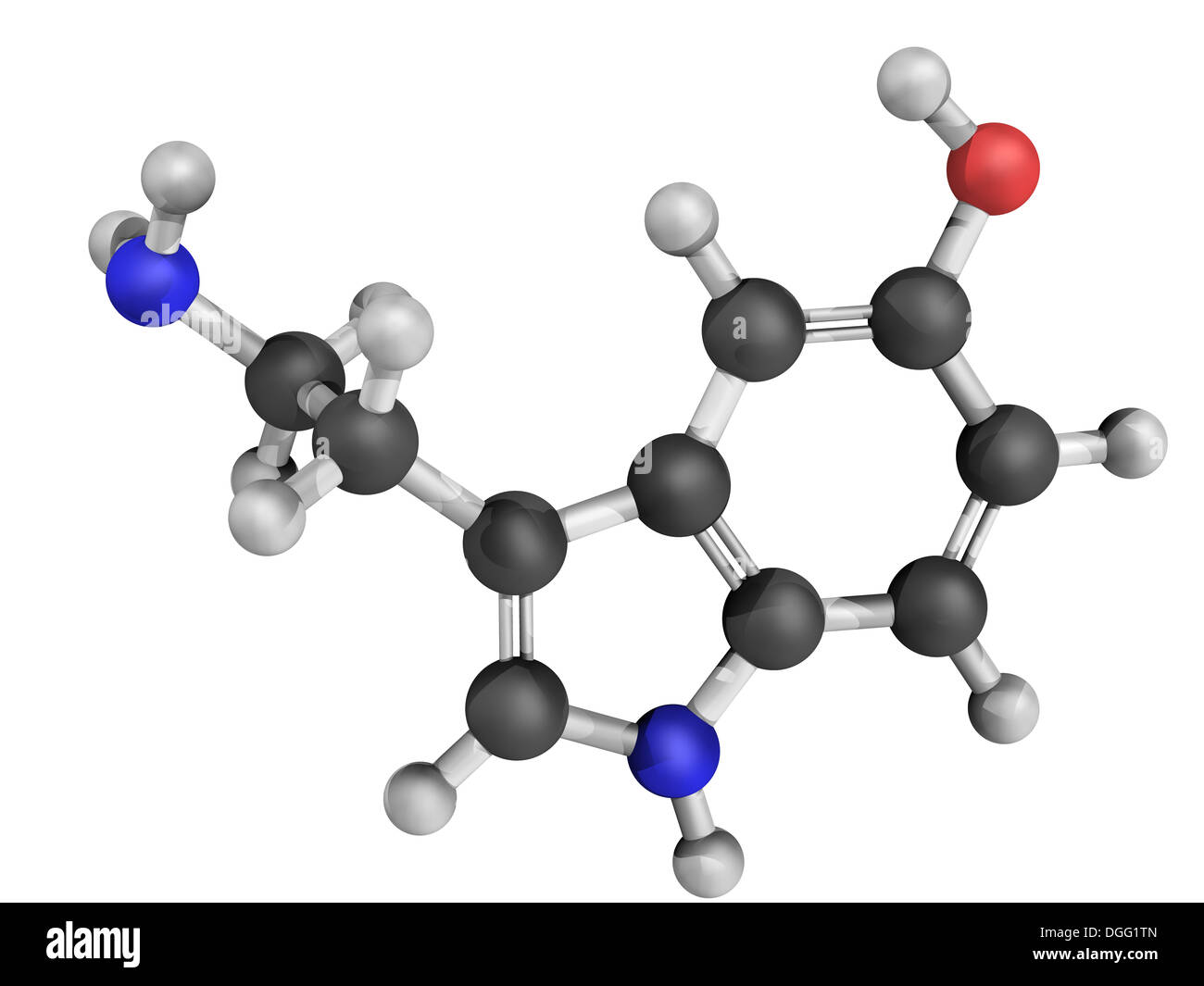 Chemical structure of serotonin, an important neurotransmitter implicated  in depression. Serotonin is also known as 5-HT Stock Photo - Alamy
