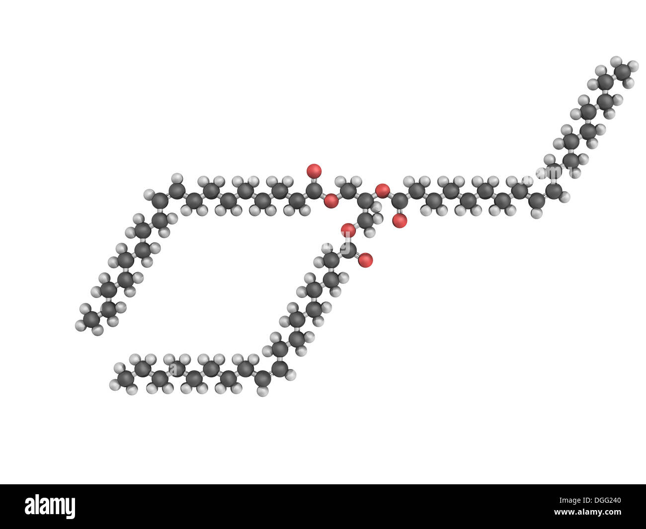 3d model of triolein molecule, a triglyceride contained in olive oil