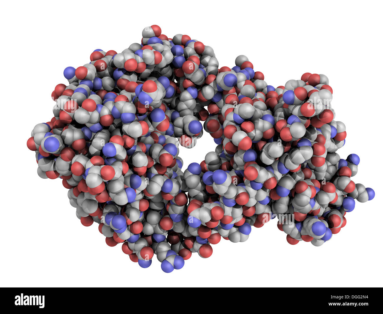 humanized monoclonal antibody