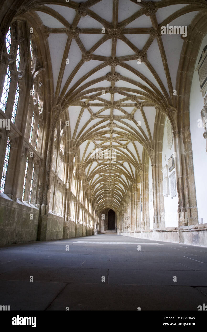 Low, wide angle view of the cloisters at Wells Cathedral in Wells, Somerset, UK. Stock Photo