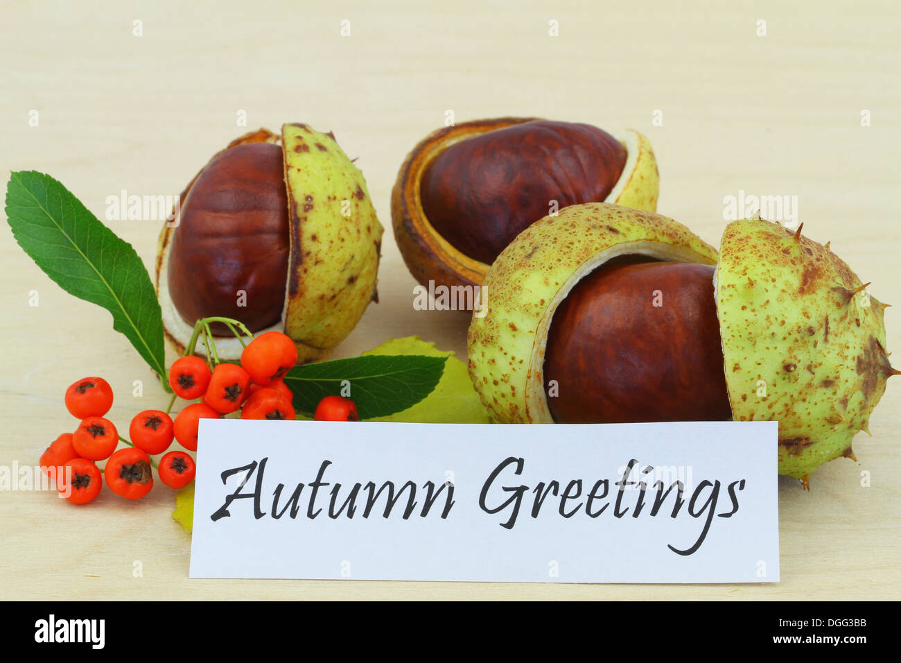 Autumn greetings card with chestnuts and rowan berries Stock Photo