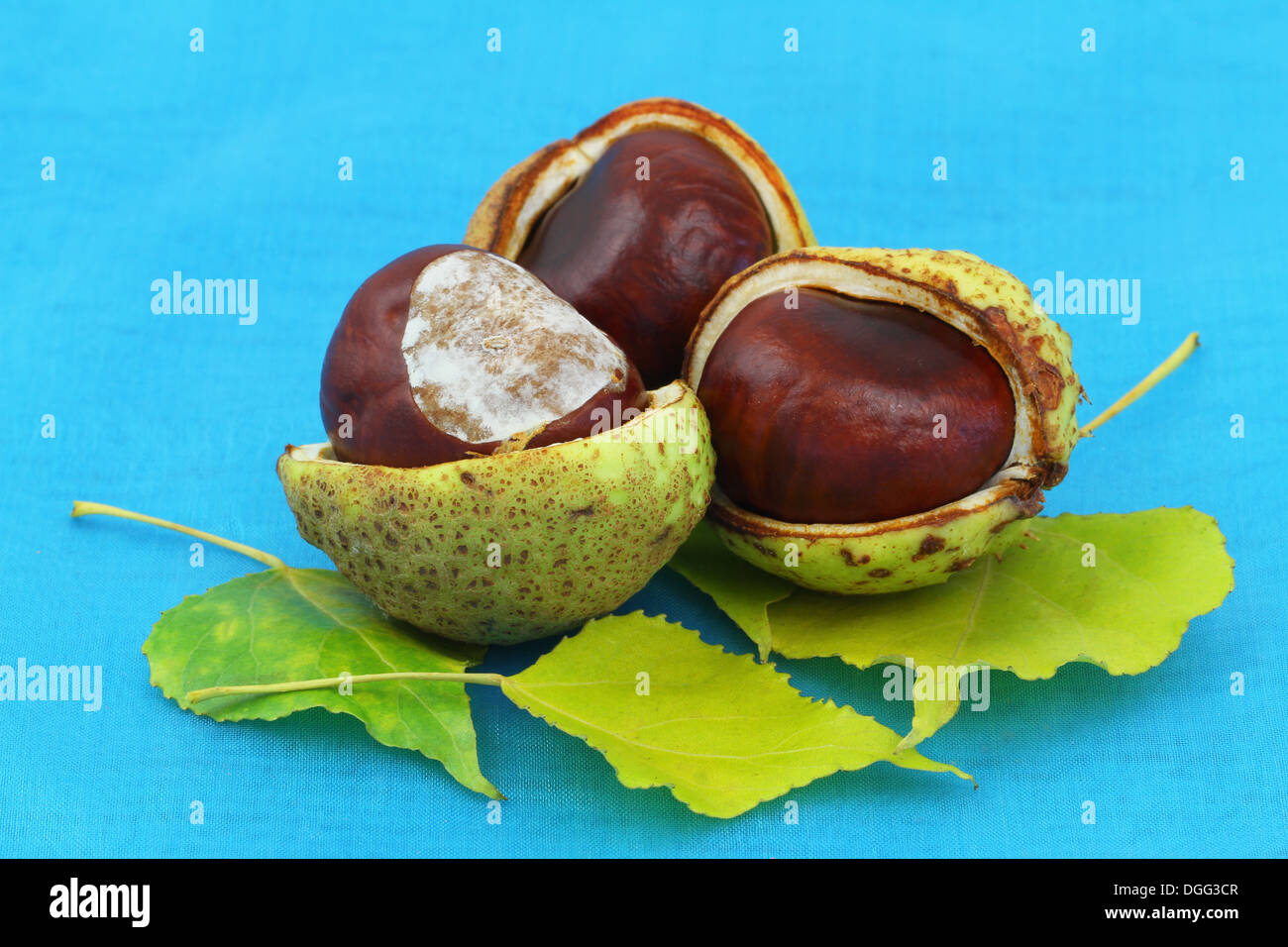 Blue without you hi-res stock photography and images - Alamy