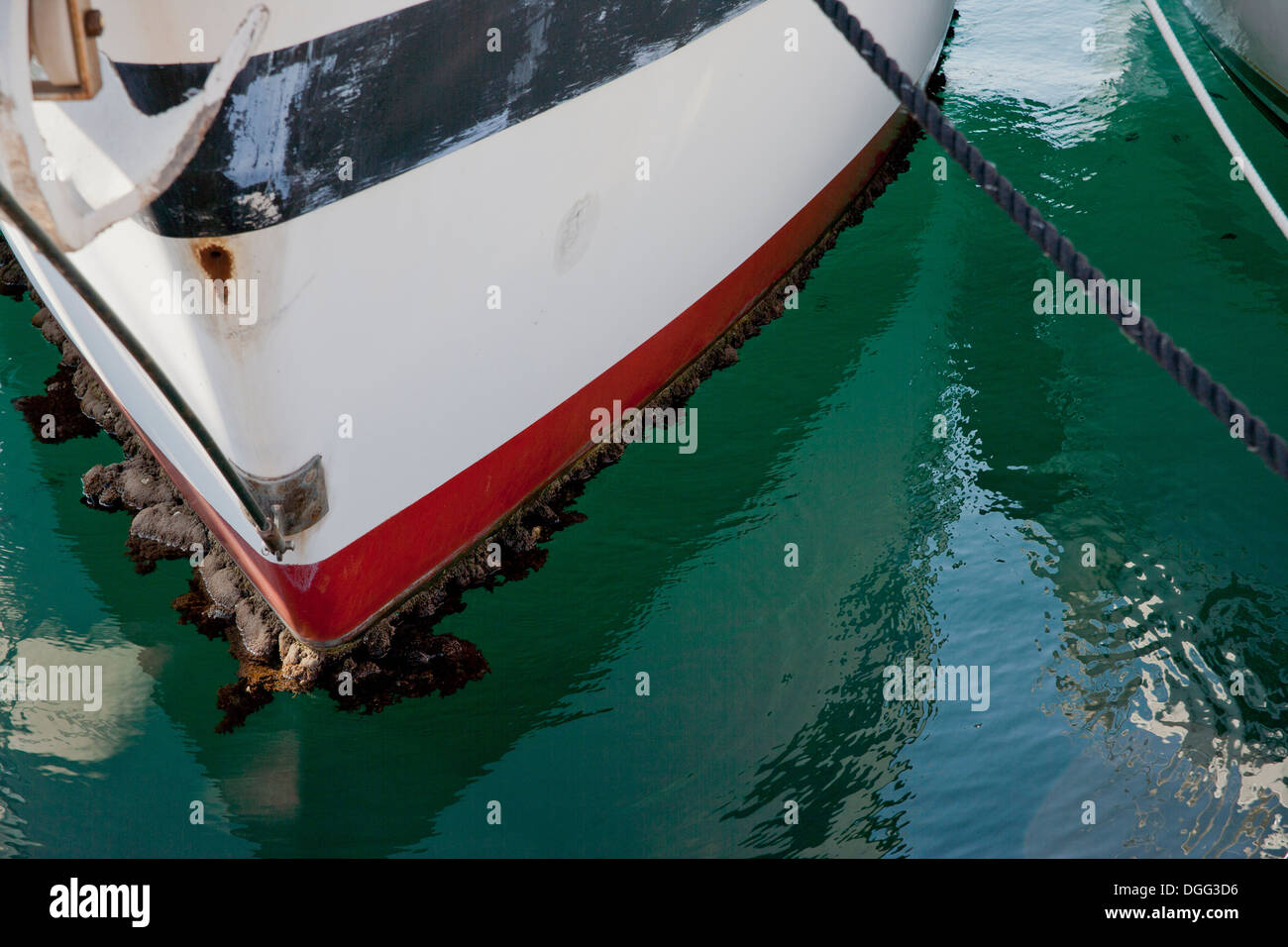 Bow of yacht needing anti-fouling Stock Photo