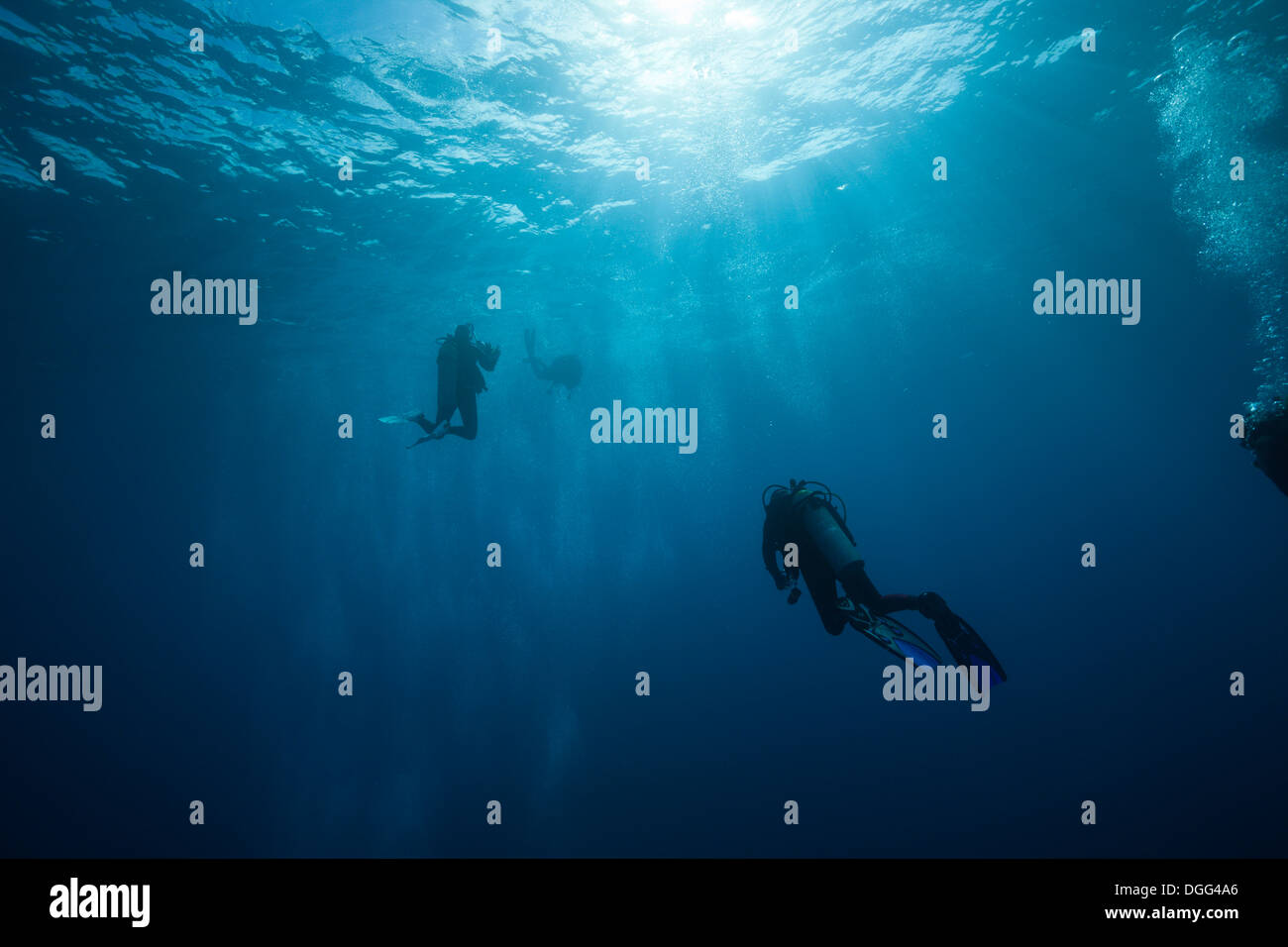 Scuba Diver in Open Water, Socorro, Revillagigedo Islands, Mexico Stock Photo