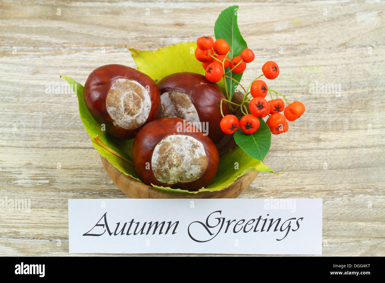 Autumn greetings card with chestnuts, rowan berry and leaves Stock Photo