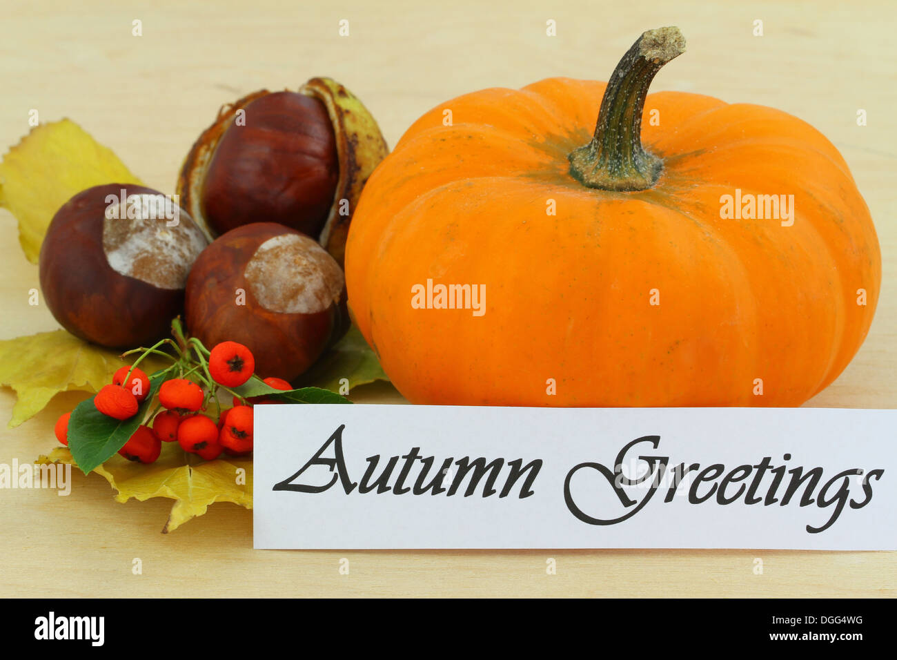 Autumn greetings card with pumpkin, chestnuts, rowan berries and autumn leaves Stock Photo