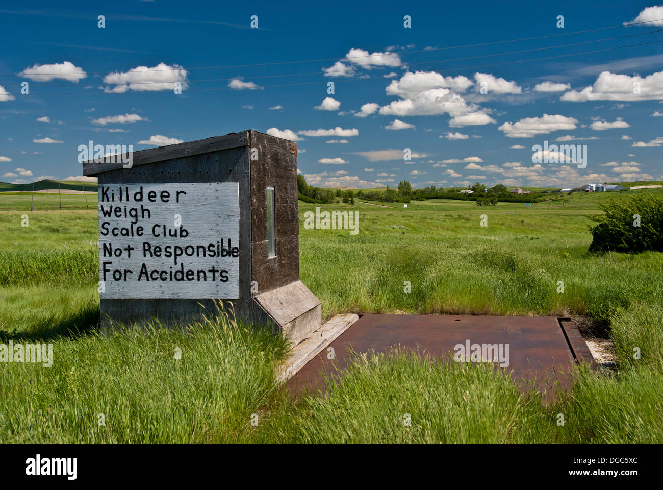 Sign on prairie weigh scale for trucks Stock Photo Alamy