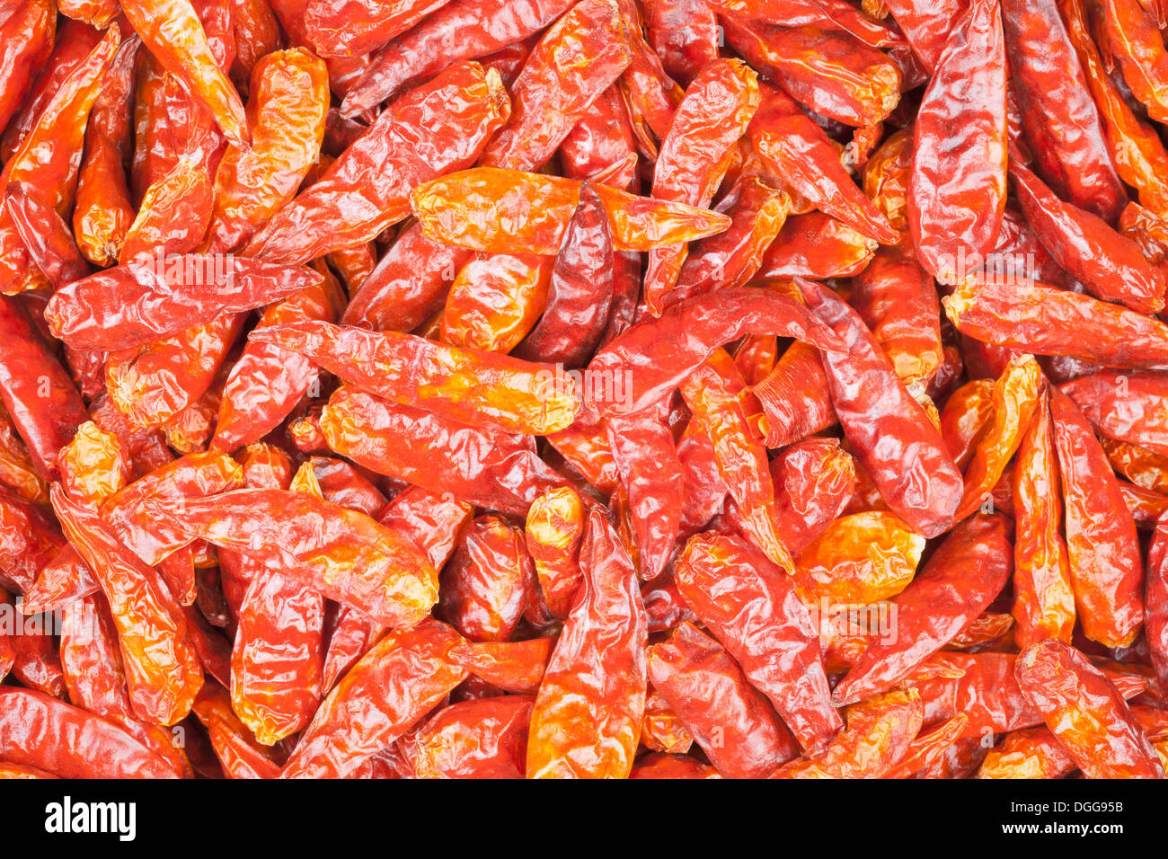 Dried red chili peppers Stock Photo