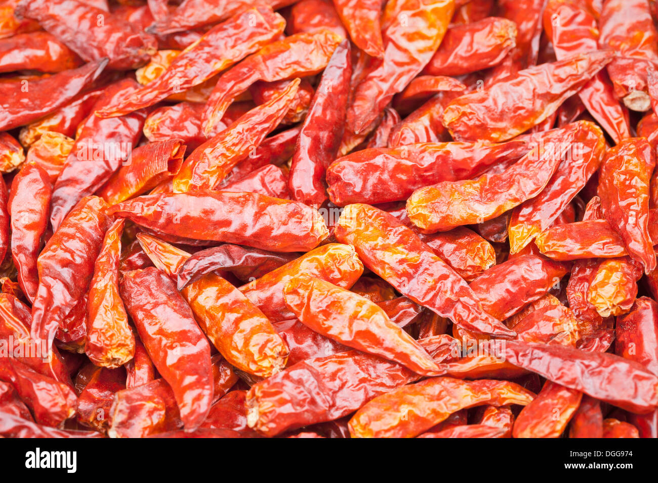 Dried Red Chili Peppers Stock Photo Alamy