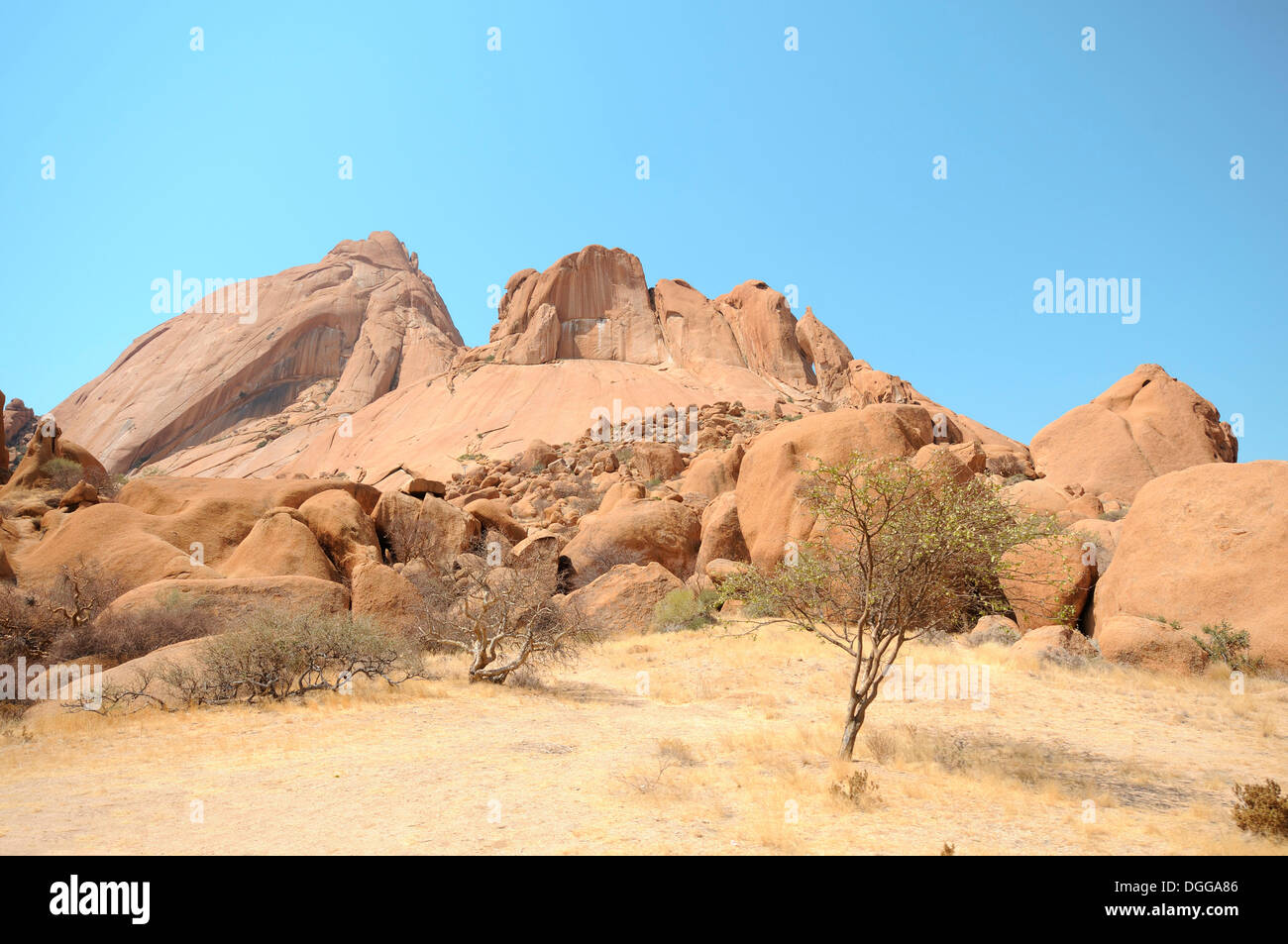 Savannah landscape with granite rocks and Spitzkoppe Mountain, Große Spitzkuppe Nature Reserve, Namibia Stock Photo