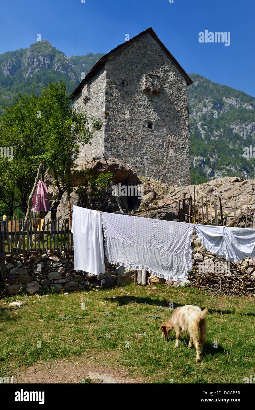 Historic Kulla, blood revenge tower at Thethi or Theth, Theth National Park, Albanian Alps, Albania, The Balkans, Europe Stock Photo