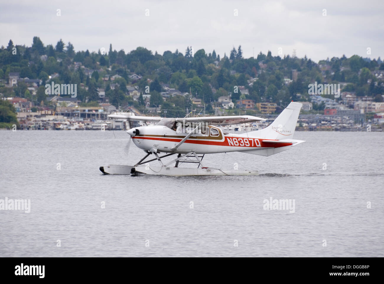 Seaplane cruises on water, South Lake Union, Seattle, USA Stock Photo ...