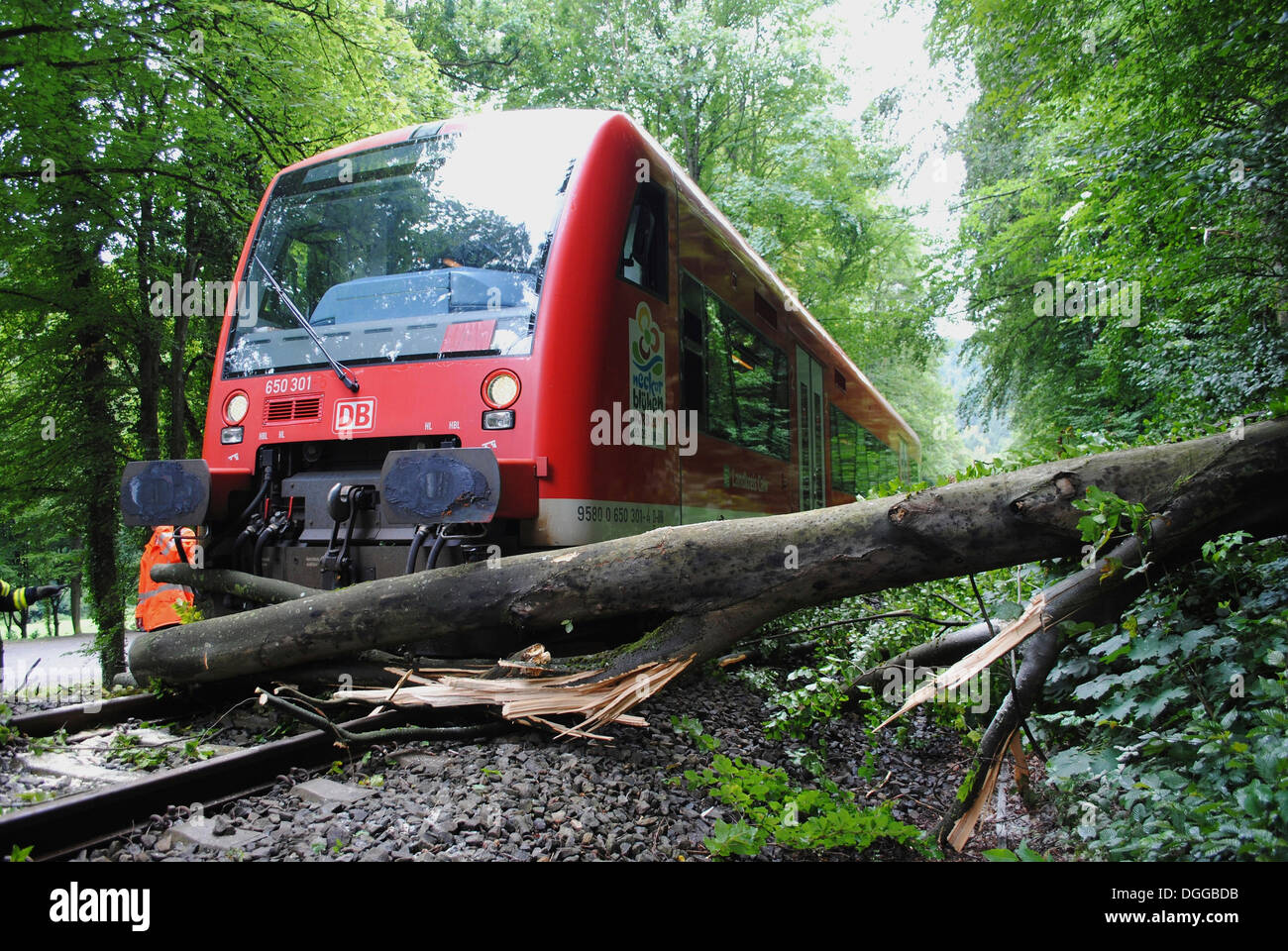 A fallen tree blocking the rail traffic between Dreizelgenberg Tunnel and Dillweissenstein railway station, Baden-Wuerttemberg Stock Photo