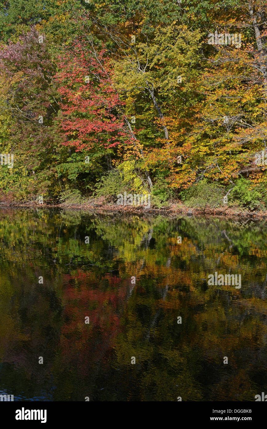 Fall on the Mill River.  East Rock Park.  New Haven, CT Stock Photo