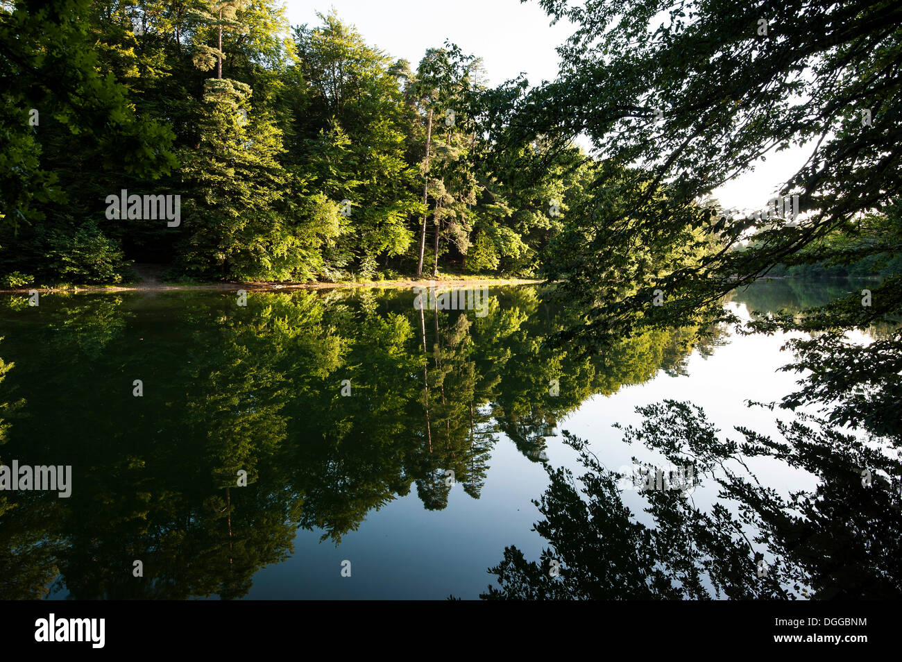 Lake Pfaffensee in Stuttgart, one of the three Baerenseen lakes ...