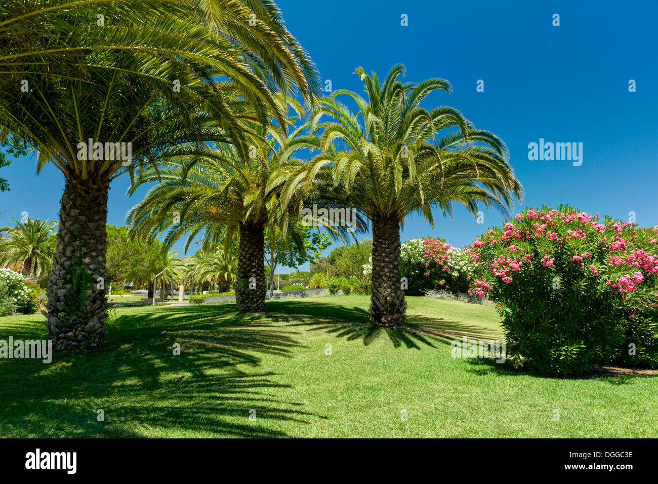 Portugal, the Algarve, Vilamoura, gardens Stock Photo