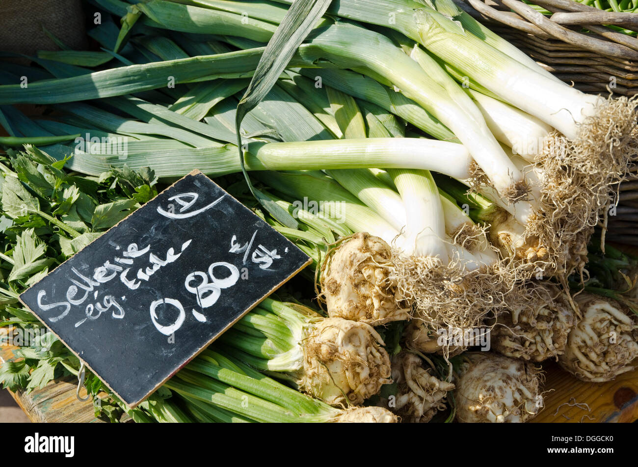 Celeriac are offered for sale at the weekly market aside the river Elbe. Dresden , Germany Stock Photo