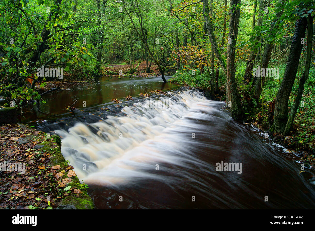 Rivelin valley hi-res stock photography and images - Alamy