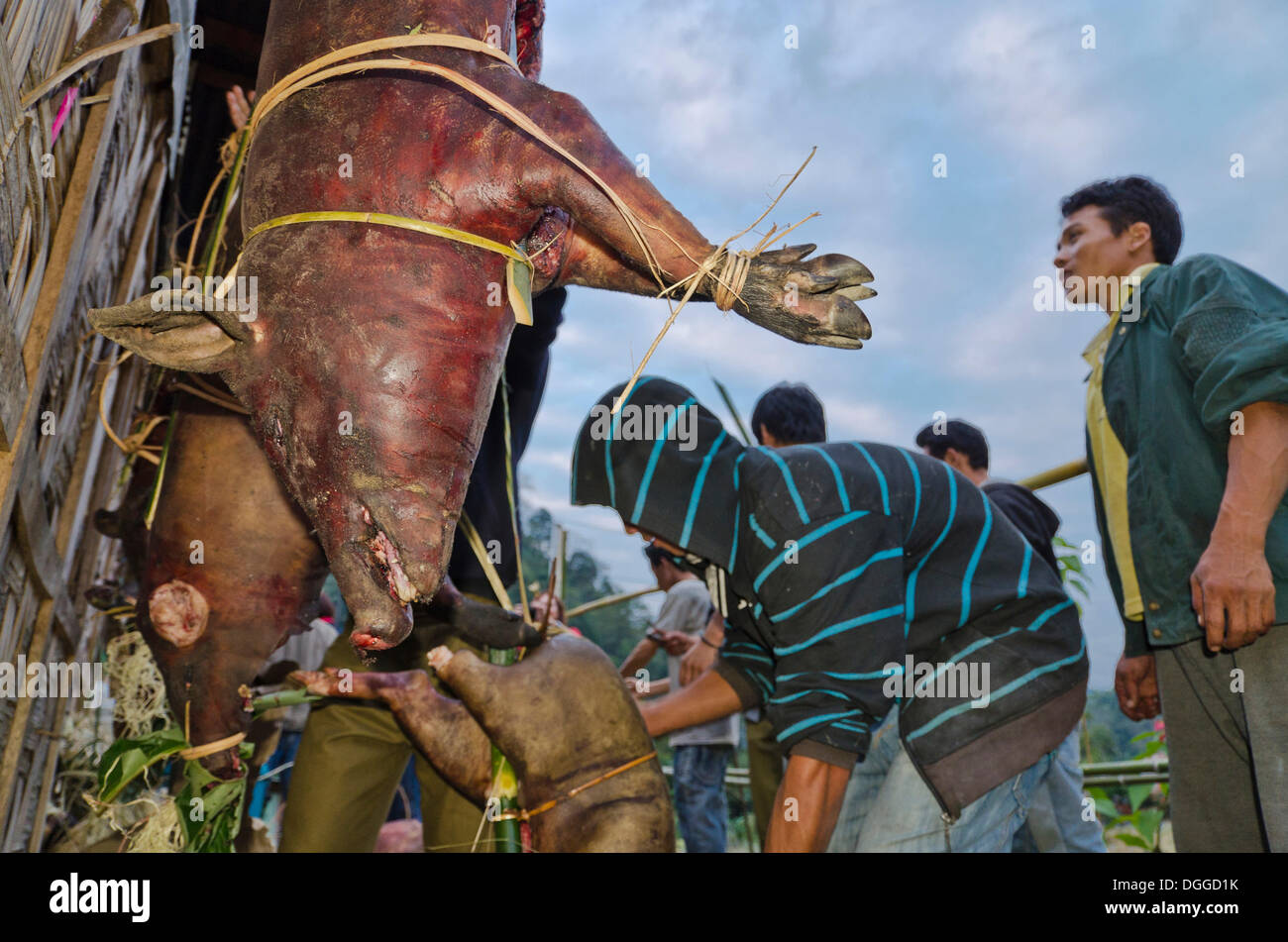 Villagers of the Nishi tribe offering smoked pork at a wedding ceremony in Peni village, India, Asia Stock Photo