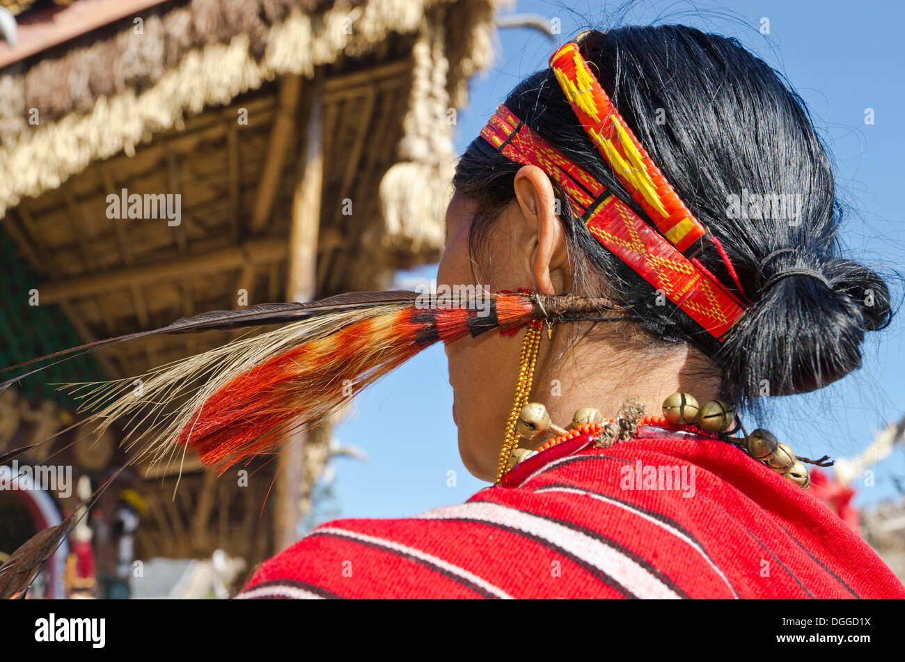 Woman of the Phom tribe at Hornbill Festival, Kohima, India, Asia Stock