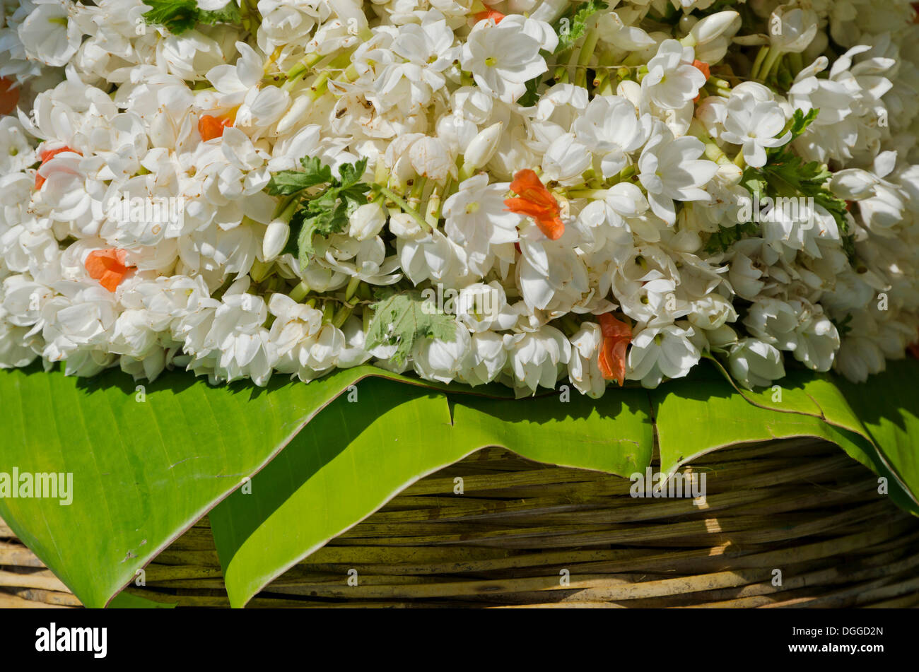Flowers for sale at the local market in Mysore, India, Asia Stock Photo