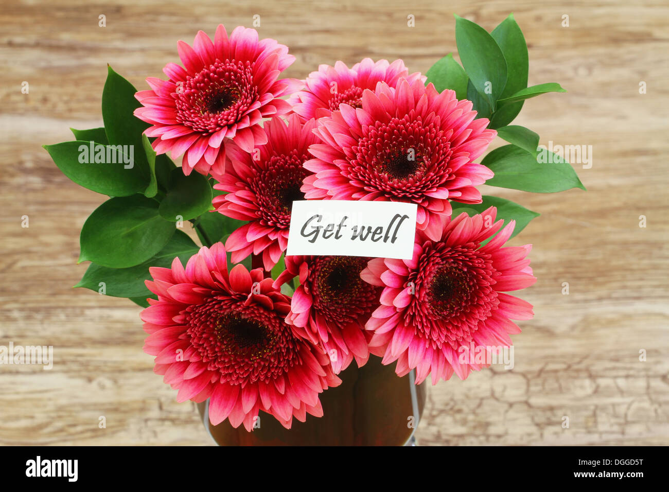 Get Well Card With Dark Pink Gerbera Daisies Stock Photo Alamy get-well-card-with-dark-pink-gerbera-daisies-stock-photo-alamy