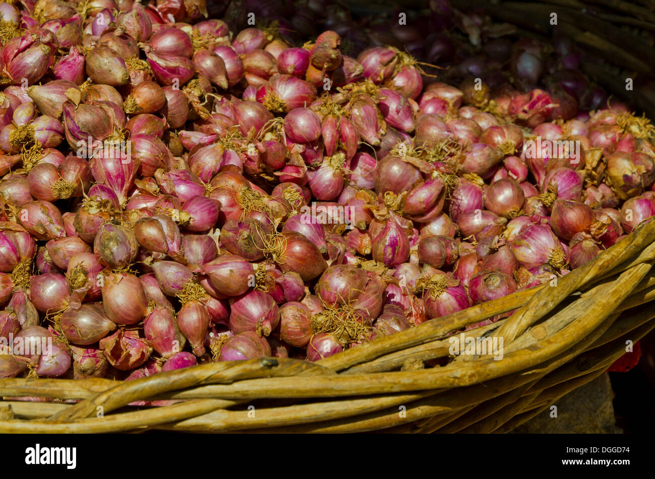 Basket full of onions at local market, Madurai, India, Asia Stock Photo