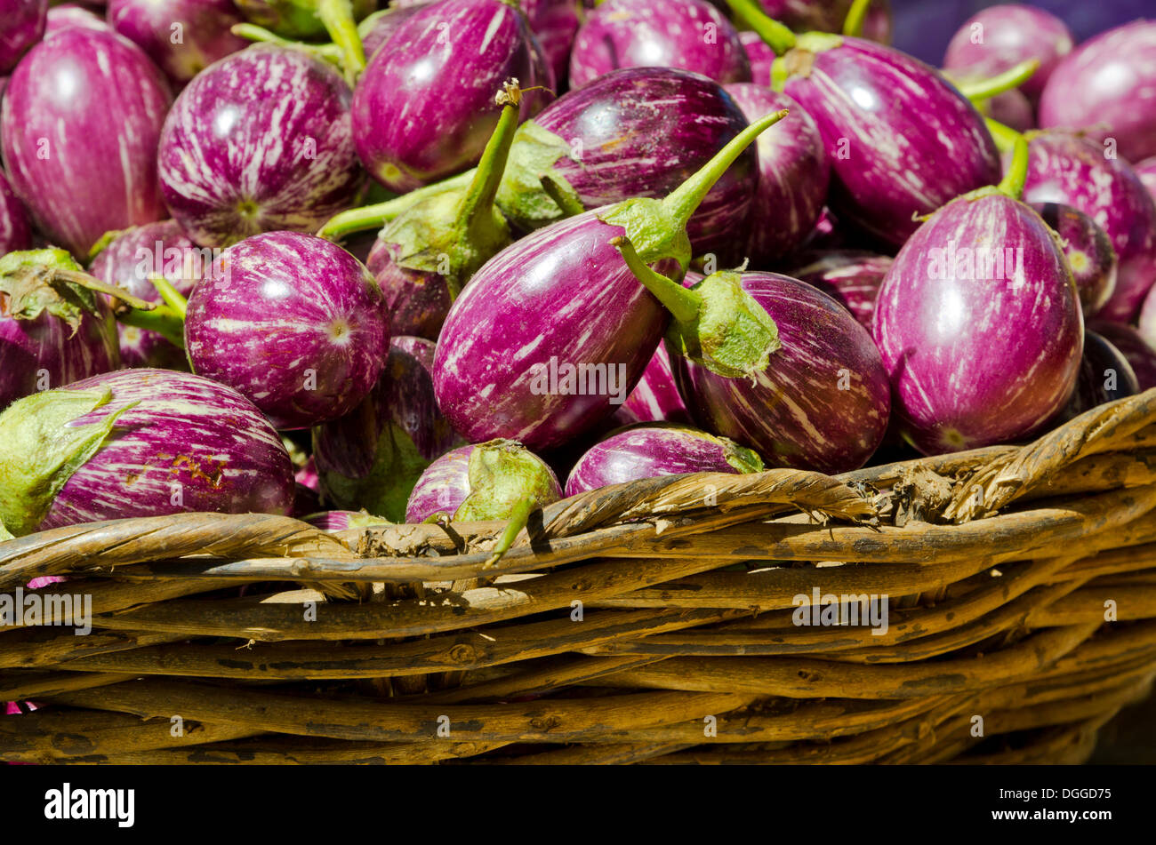 Aubergines at local market, Madurai, India, Asia Stock Photo