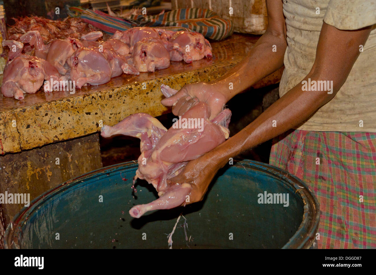 Slaughtering chicken at the chicken market in Kolkata, India, Asia Stock Photo
