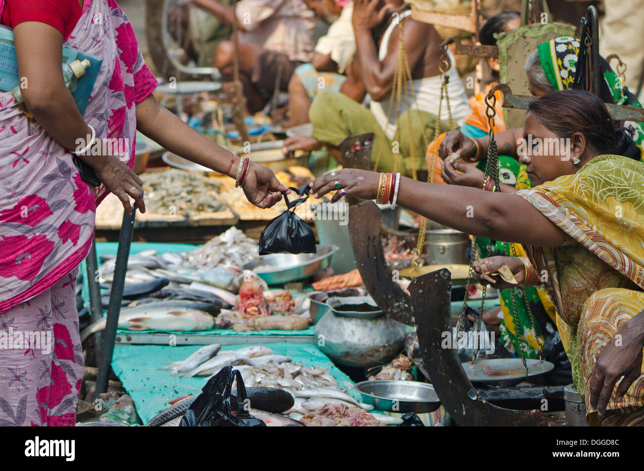 Kolkata fish market hires stock photography and images Alamy