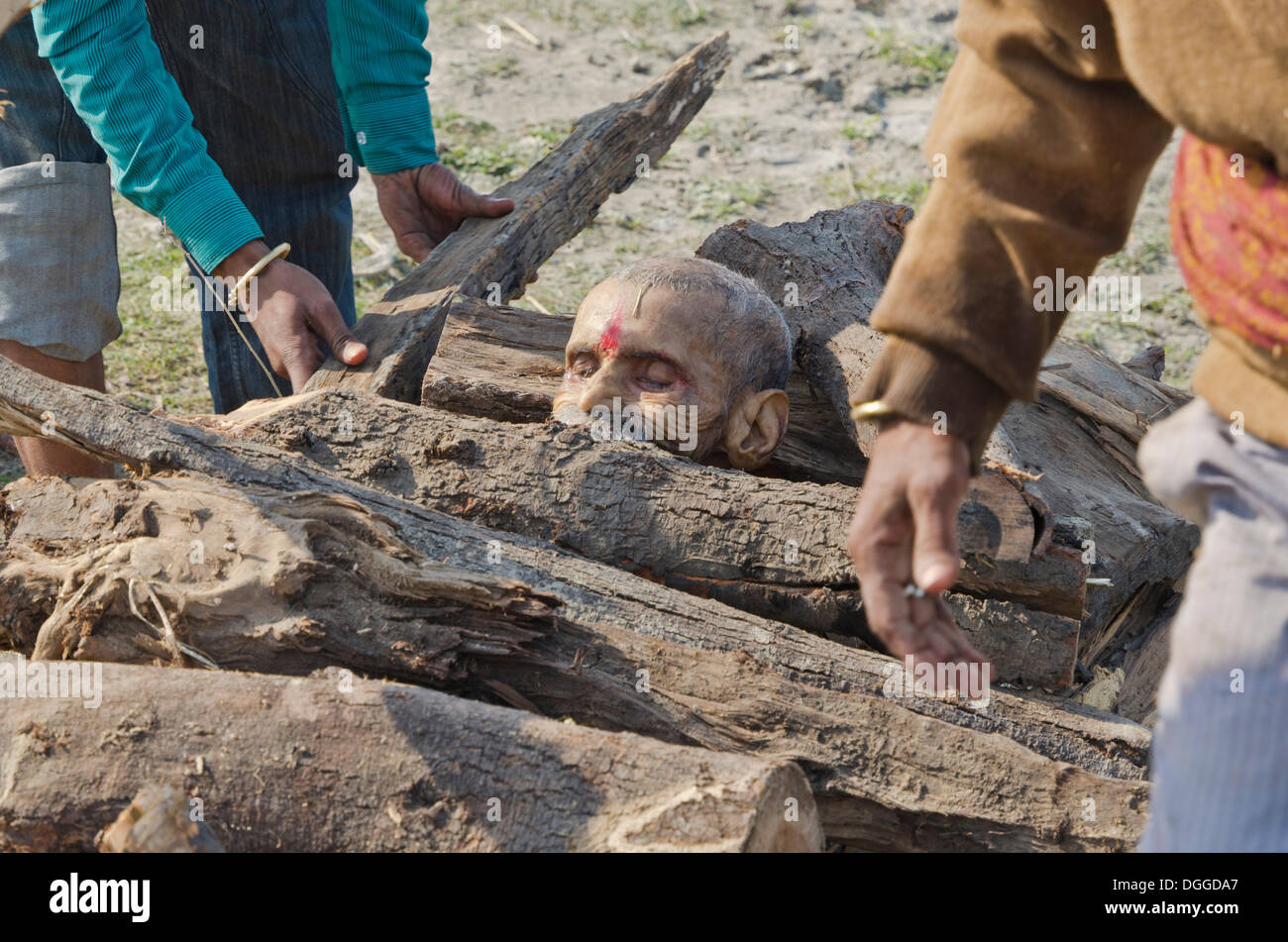 Putting a dead body on firewood on the banks of river Yamuna as part of a cremation ceremony, Vrindavan, India, Asia Stock Photo