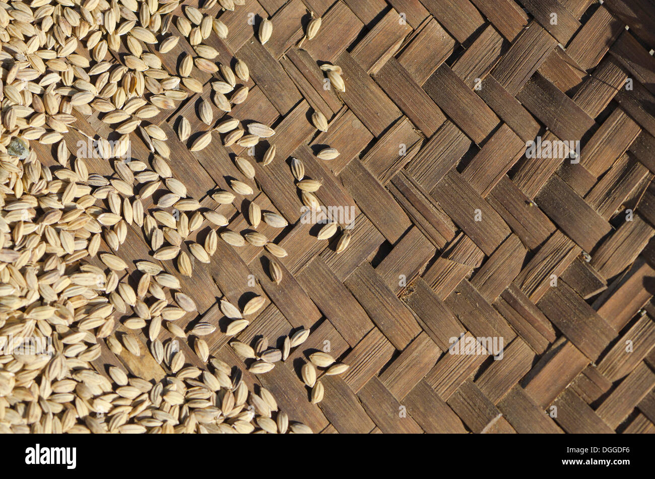 Fennel seeds in basket, Bame Village, India, Asia Stock Photo