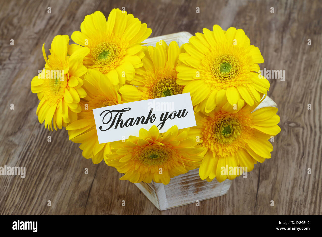 Thank you card with yellow gerbera daisies Stock Photo